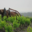 Domaine Gardies