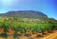 Domaine Gardies