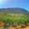 Domaine Gardies