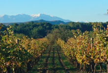 Domaine Gardies