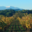 Domaine Gardies
