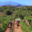 Domaine Gardies