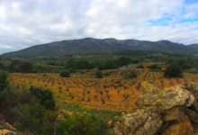 Domaine Gardies