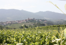 Domaine de la Balmiere