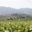 Domaine de la Balmiere
