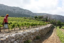 Domaine de la Balmiere