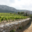 Domaine de la Balmiere