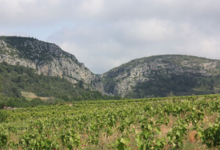 Domaine de la Balmiere