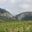 Domaine de la Balmiere