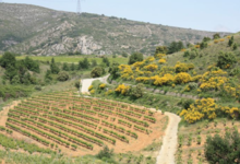 Domaine de la Balmiere
