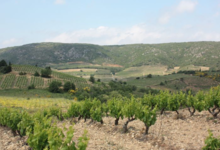 Domaine de la Balmiere
