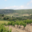 Domaine de la Balmiere