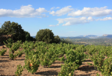 Domaine de la Balmiere