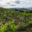 Domaine de l'immortelle