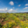 Domaine de l'immortelle