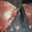 Ferme des Baillards, viande de porc noir gascon
