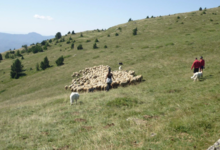 La Cazette