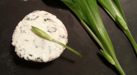 La Ferme des Monteyx, fromage à l'ail des ours