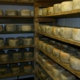 Fromagerie La Pastoure, tomme de brebis
