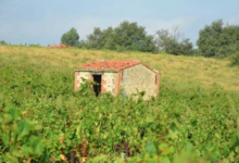 Domaine Merende