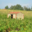 Domaine Merende