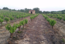 Domaine Merende