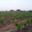 Domaine Merende