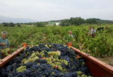 Domaine Merende