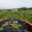 Domaine Merende