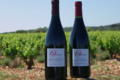 Mas Parayre, Olivier Romeu, vin de pays des Côtes Catalanes