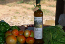 Mas Parayre, Olivier Romeu, huile d'olive picholine