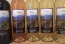 Domaine Saqué, macabeu Côtes Catalanes