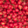 Domaine St Thomas, cerises
