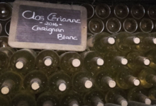 Clos Cérianne, carignan blanc