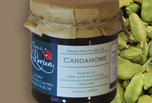 Cardamome