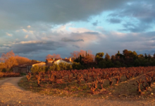 Domaine La Casenove