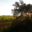 Domaine La Casenove