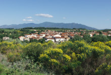 Domaine clos Massotte