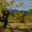 Domaine clos Massotte