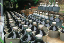 Les vinaigres de la Guinelle