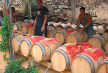 Les vinaigres de la Guinelle