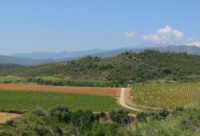 Chateau Mossé