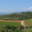 Chateau Mossé