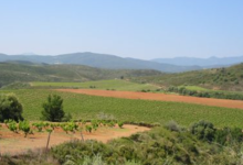 Chateau Mossé