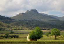 Domaine d'Archimbaud