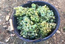 Domaine d'Archimbaud