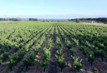 Domaine d'Archimbaud