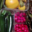 Baies Fruitet, panier bio