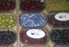 Baies Fruitet, cerises