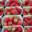 Les petits fruits de Jef, fraises